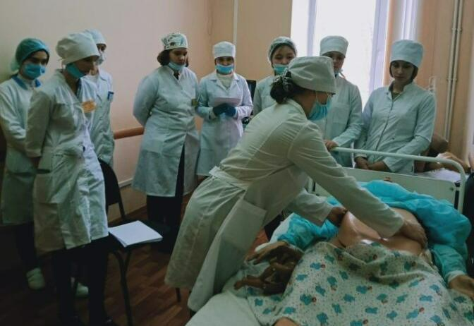 Nursing (scientific and pedagogical focus)