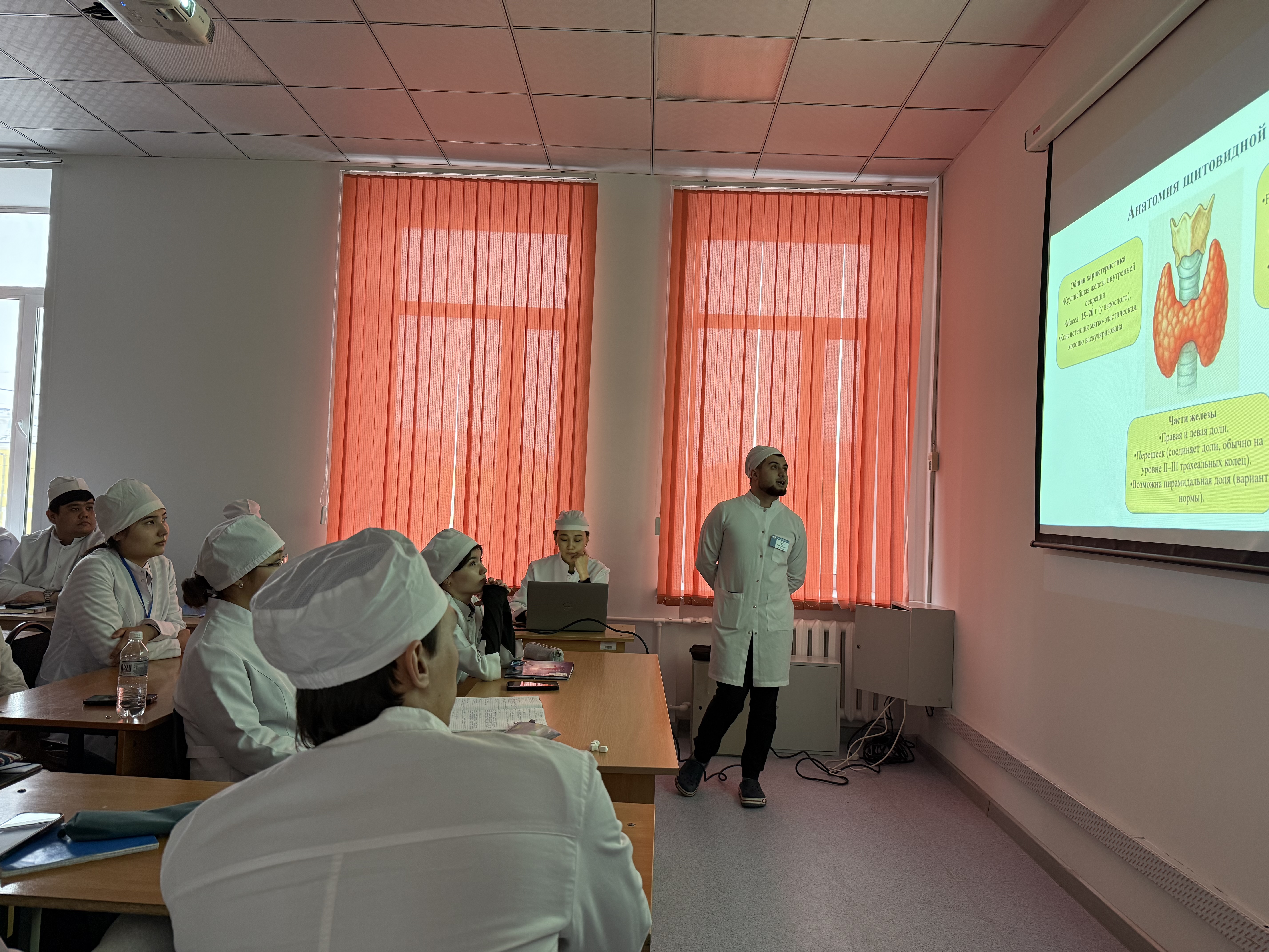 Қалқанша безінің патологиясы: механизмдерді түсінуден дұрыс шешімдерге дейін