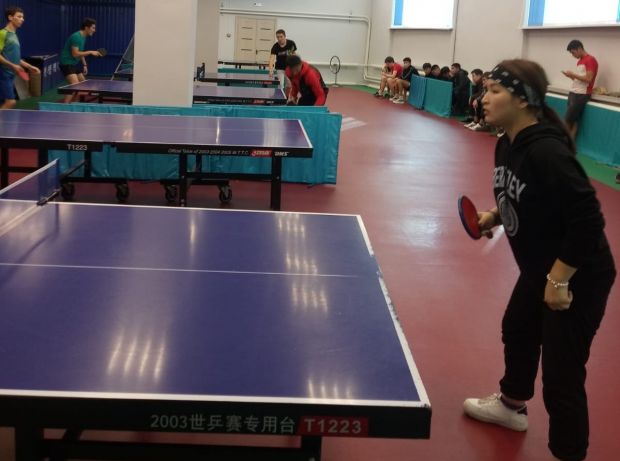 Настольный теннис