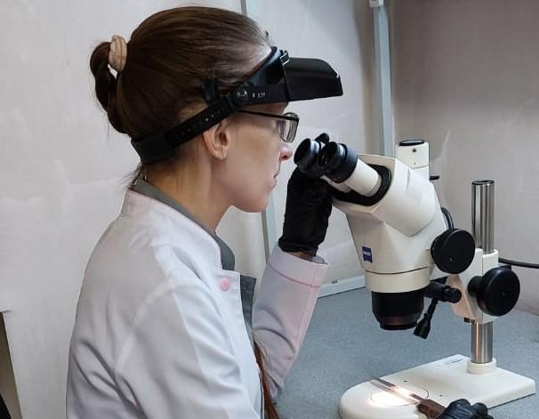 Судебно-медицинская экспертиза