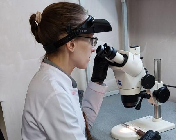 Сот-медициналық сараптама