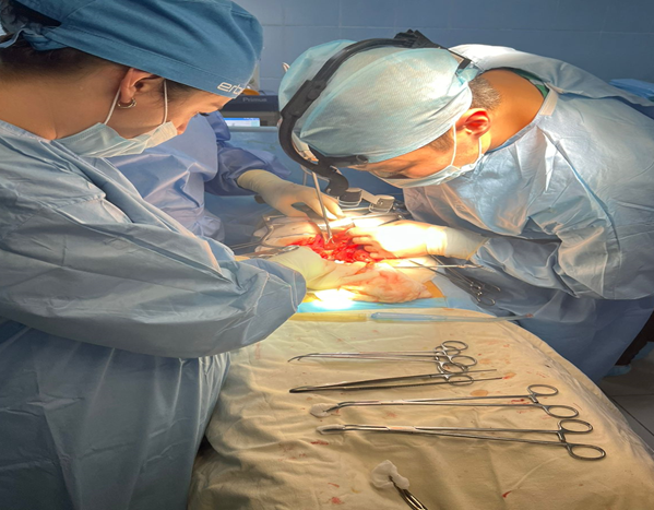 Ересектер онкологиясы