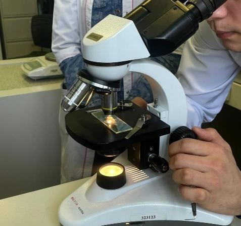 Биолог-зерттеуші (ғылыми-педагогикалық бағыт)