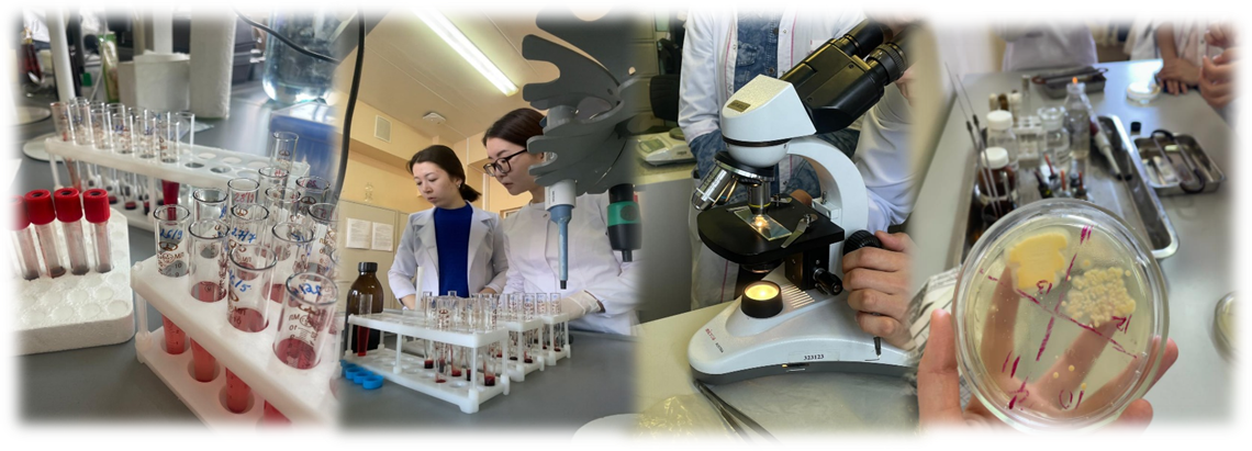 История института